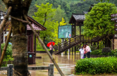 煙雨峽谷分外多情，你來過嗎？