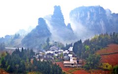 天樓筍
