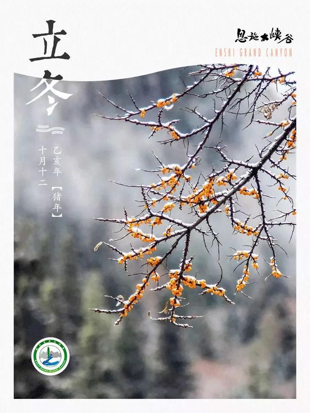 立冬|秋未盡冬已來，不負秋色不負你
