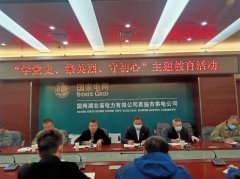 祭英烈學(xué)黨史  守初心擔(dān)使命——恩施市供電公司聯(lián)合恩施大峽谷旅游開發(fā)有限公司開展支部主題教育活動(dòng)