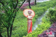 中國(guó)網(wǎng)：勞模導(dǎo)游邀勞模 五一，我在恩施大峽谷等你